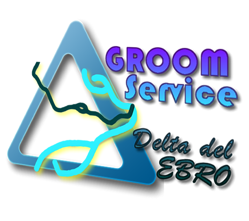 Groom service Delta del Ebro, Servicio de conserjería airbnb